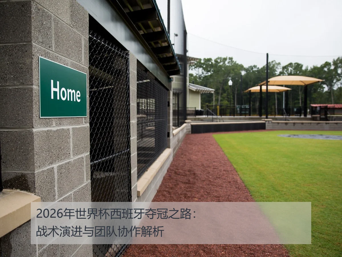 2026年世界杯西班牙夺冠之路：战术演进与团队协作解析